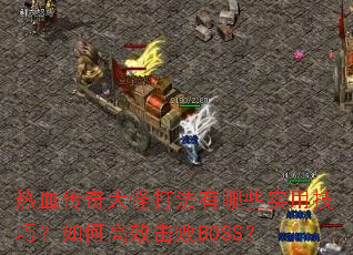 ��Ѫ�����ִ�����Щʵ�ü��ɣ���θ�Ч����BOSS��