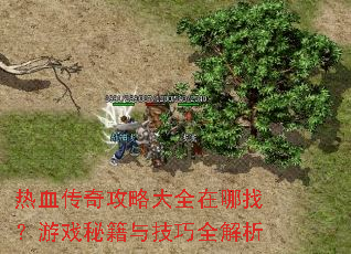 热血传奇攻略大全在哪找?游戏秘籍与技巧全解析 热血传奇攻略大全在哪找?游戏秘籍与技巧全解析