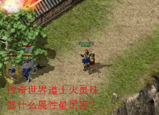 传奇世界道士火灵珠选什么属性最厉害? 传奇世界道士火灵珠选什么属性最厉害?