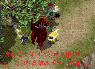 �����ʿ����������͵ȡboss������Щ��Чս����ע�����