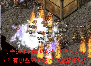 �����ʿ����������͵ȡboss������Щ��Чս����ע�����