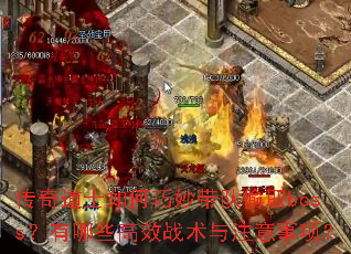 �����ʿ����������͵ȡboss������Щ��Чս����ע�����