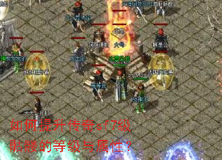 �����������sf7�����õĵȼ������ԣ�