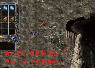 ����ӥ���ڴ����Թ��ľ���ˢ��λ�������