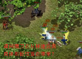 ����ӥ���ڴ����Թ��ľ���ˢ��λ�������