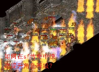 �����sf�����п���������ɫ�ȼ���