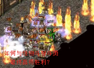 �������ﶷ�Ƕ��£�����Ӯ��ʤ����