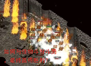 �������ﶷ�Ƕ��£�����Ӯ��ʤ����