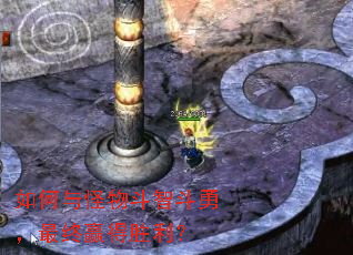 �������ﶷ�Ƕ��£�����Ӯ��ʤ����