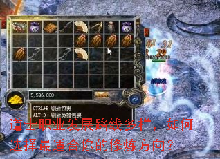 ��ʿְҵ��չ·�߶��������ѡ�����ʺ������������