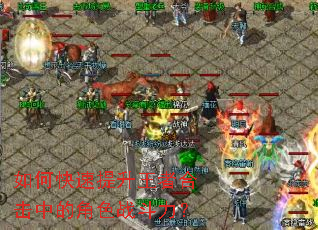 ��ο����������ߺϻ��еĽ�ɫս������