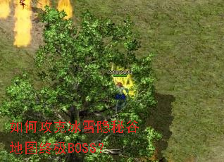 ��ι��˱�ѩ���عȵ�ͼ�ռ�BOSS��