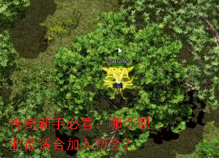 �������ֱؿ����ĸ�ְҵ���ʺϼ����᣿