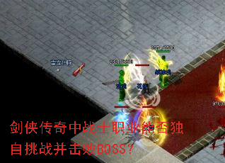 ����������սʿְҵ�ܷ������ս������BOSS��