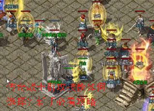 ����սʿȺ���������ѡ�����ֱؿ�����