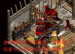 ��ԴѪ·ǰ������·����ι滮���ǰ��·����������ԣ�