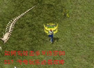 ��θ�Ч��ɱ������BOSS��������ұؿ�����