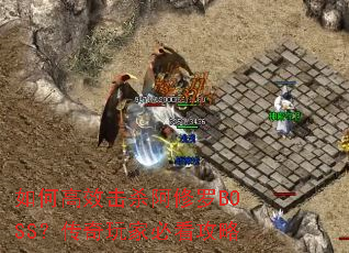 ��θ�Ч��ɱ������BOSS��������ұؿ�����