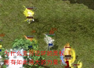 Ϊʲô���μ�SF������ӵ�����ǿ���������