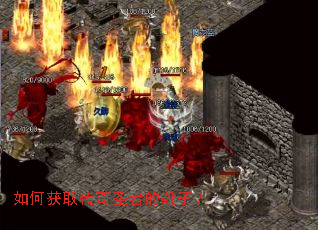 ��λ�ȡ����ʥ�ߵ�ѥ�ӣ�