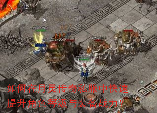 ��������鴫��˽���п���������ɫ�ȼ���װ��ս����